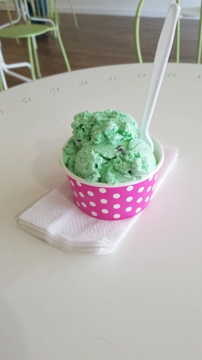 Mint Chocolate Chip Ice Cream