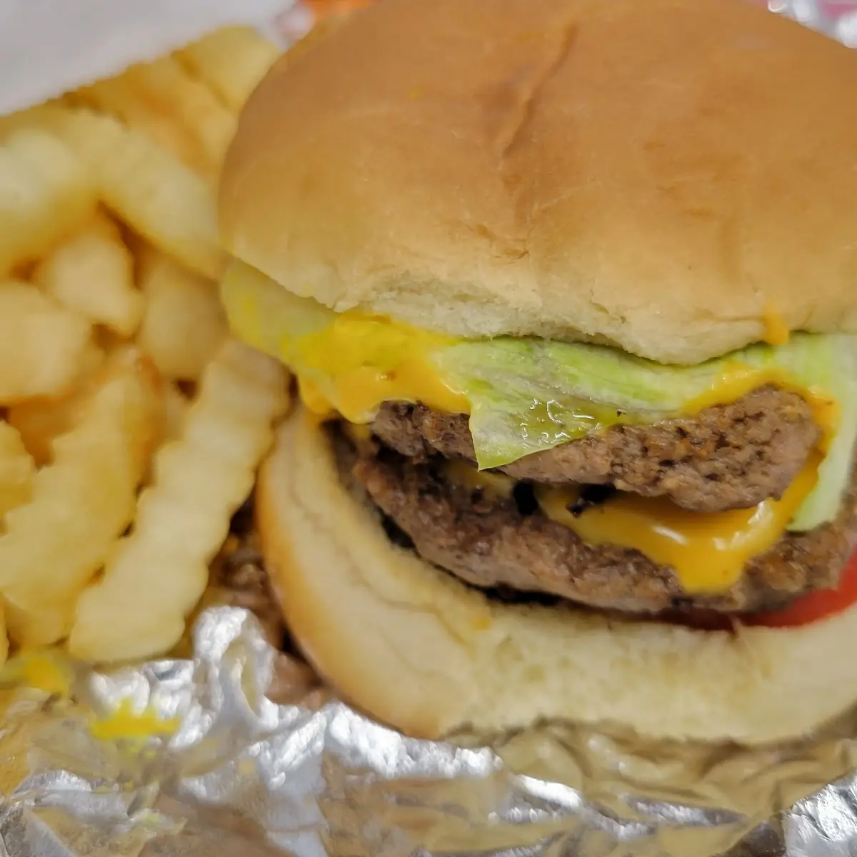 Double Cheeseburger and Fries