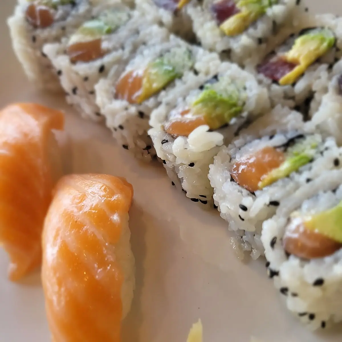 Salmon Avocado Roll