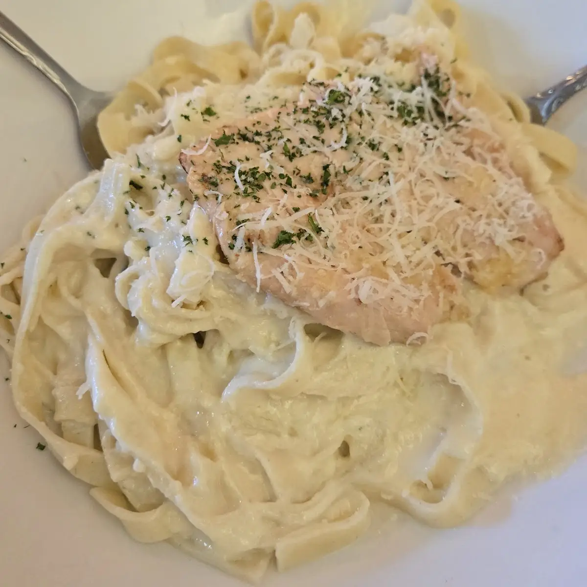 Chicken Alfredo