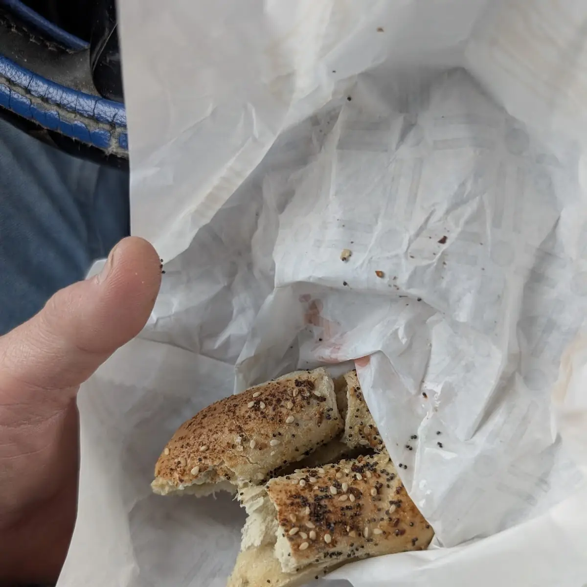 Badly Made Everything Bagel