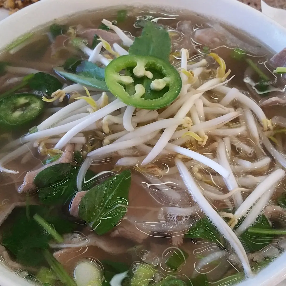 Chicken Udon Noodle Soup