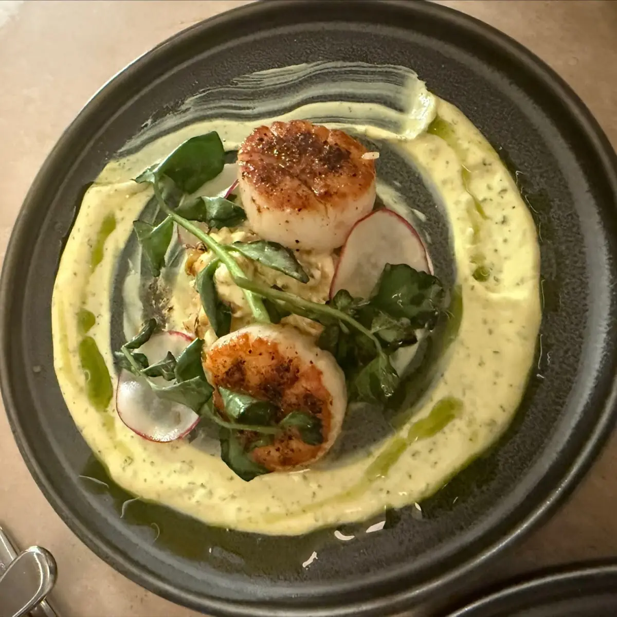 Sea Scallops