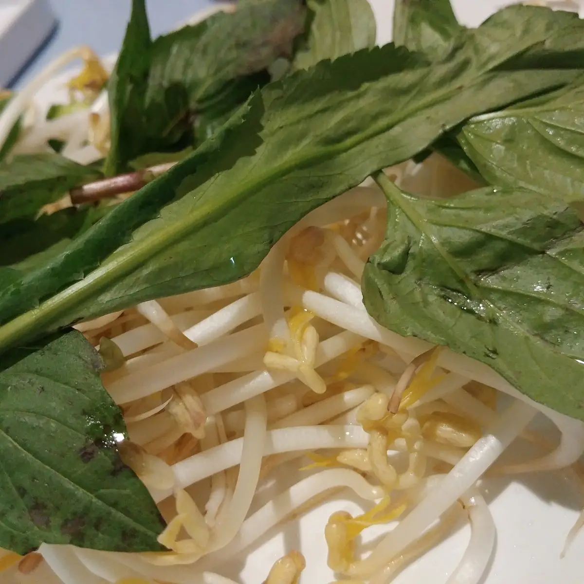 Phở Rau Ɖậu Hũ