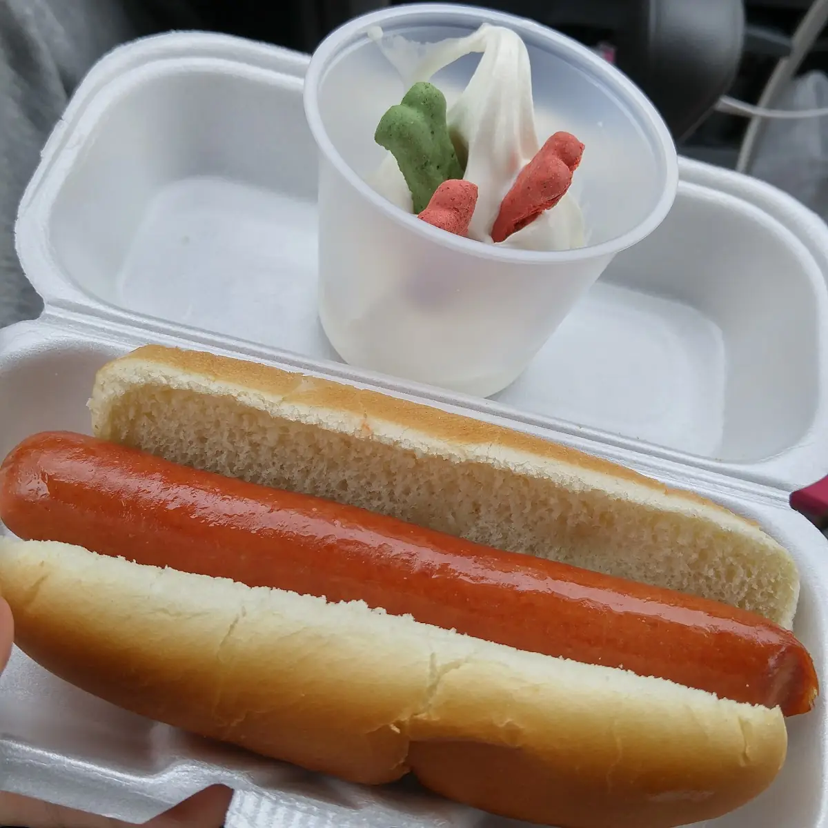 Hot Dog