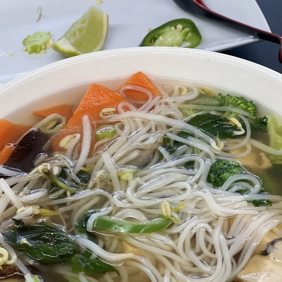 v1 Vegetarian Pho