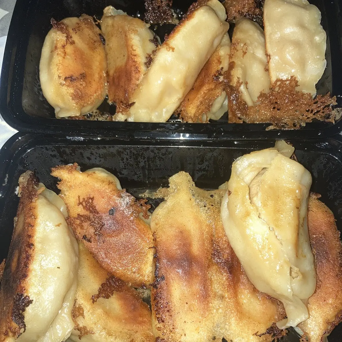 Pan-Fried Dumplings
