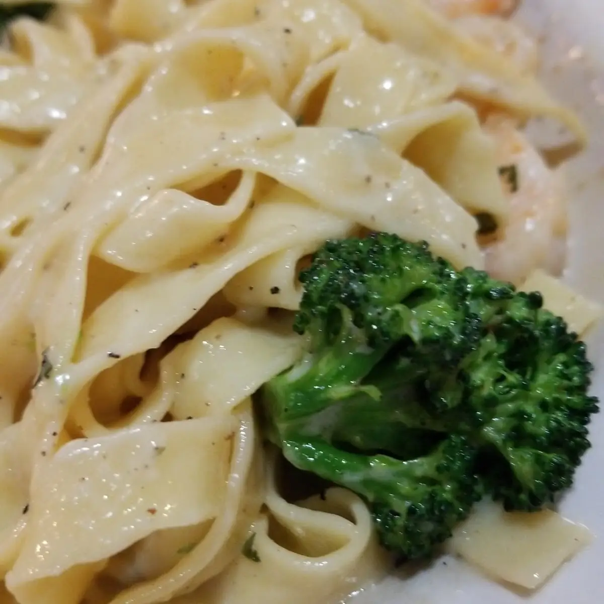 Shrimp Alfredo
