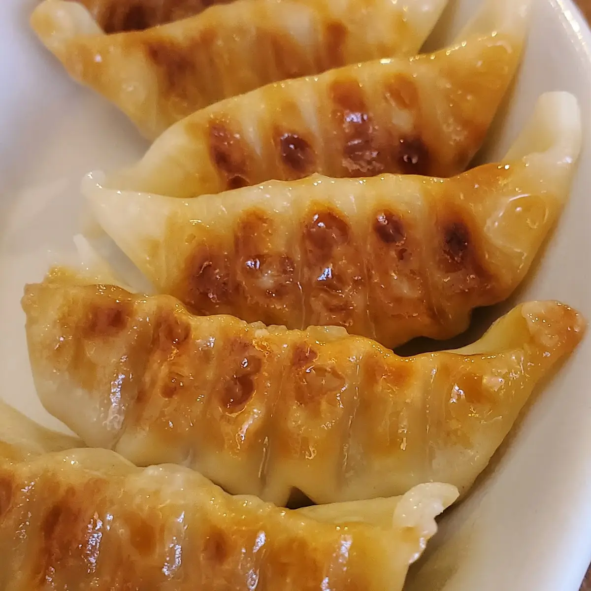 Gyoza