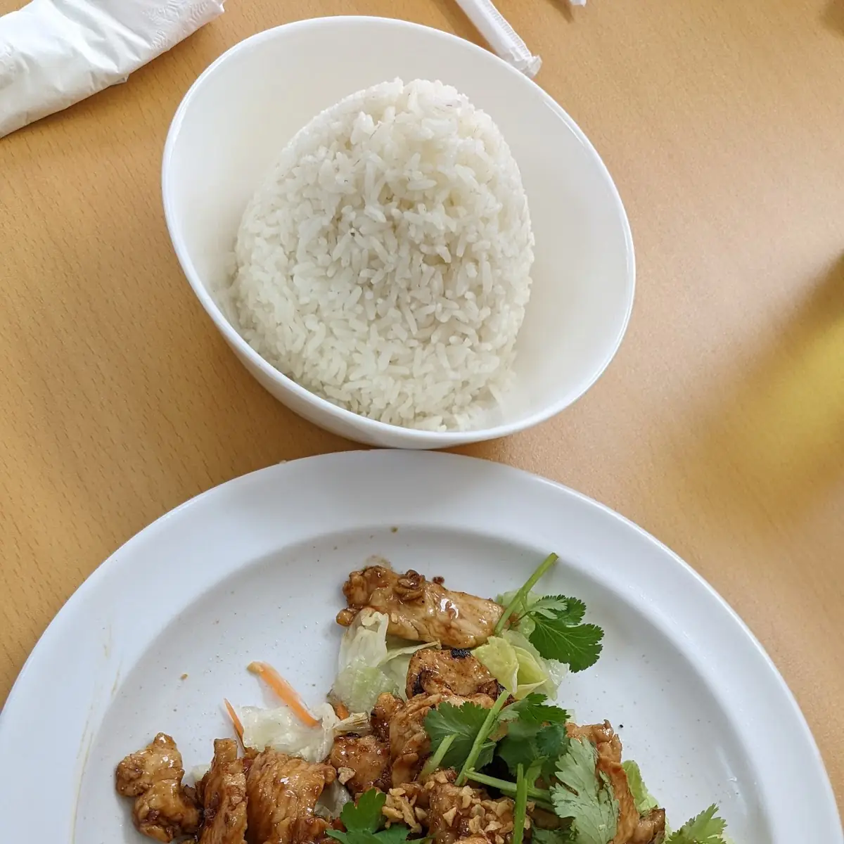 Garlic Chicken or Pork