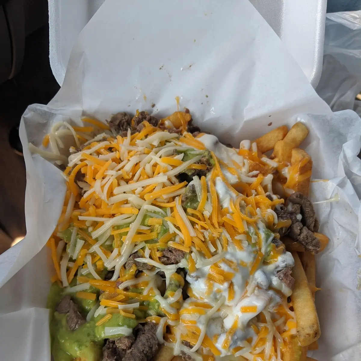 Carne Asada Fries