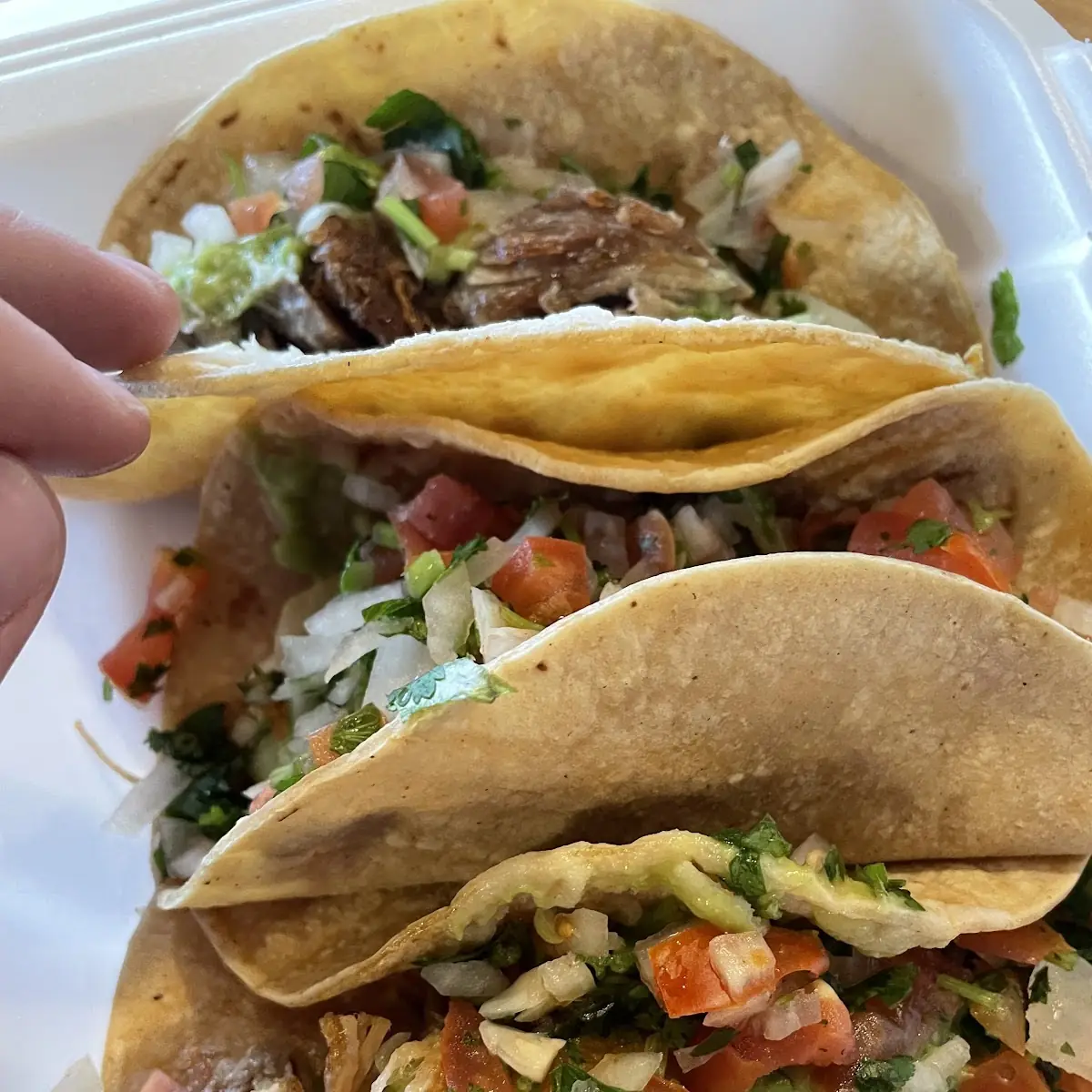 Carnitas Taco