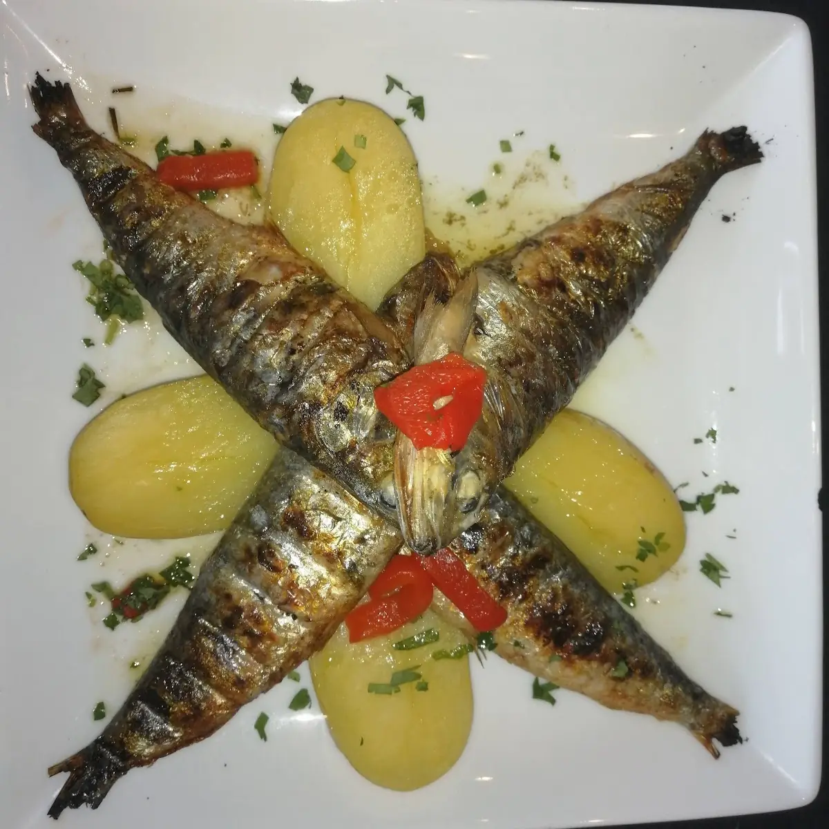 Sea Bass