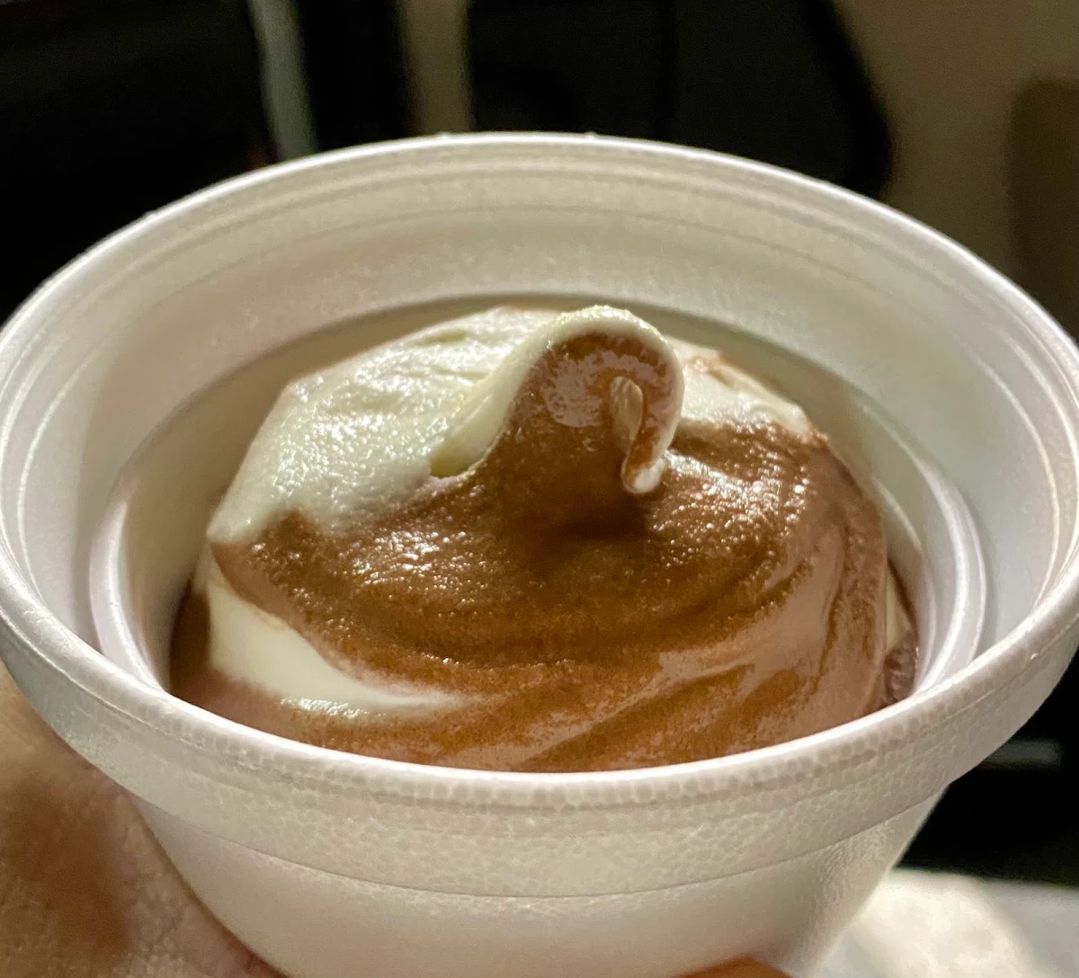 Chocolate and Vanilla Ice Cream