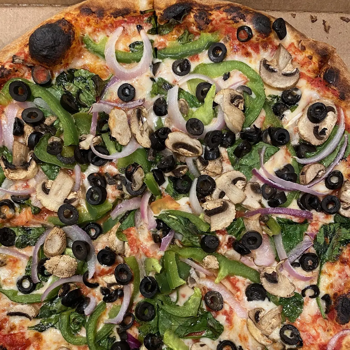 B Y O Pizza 10in