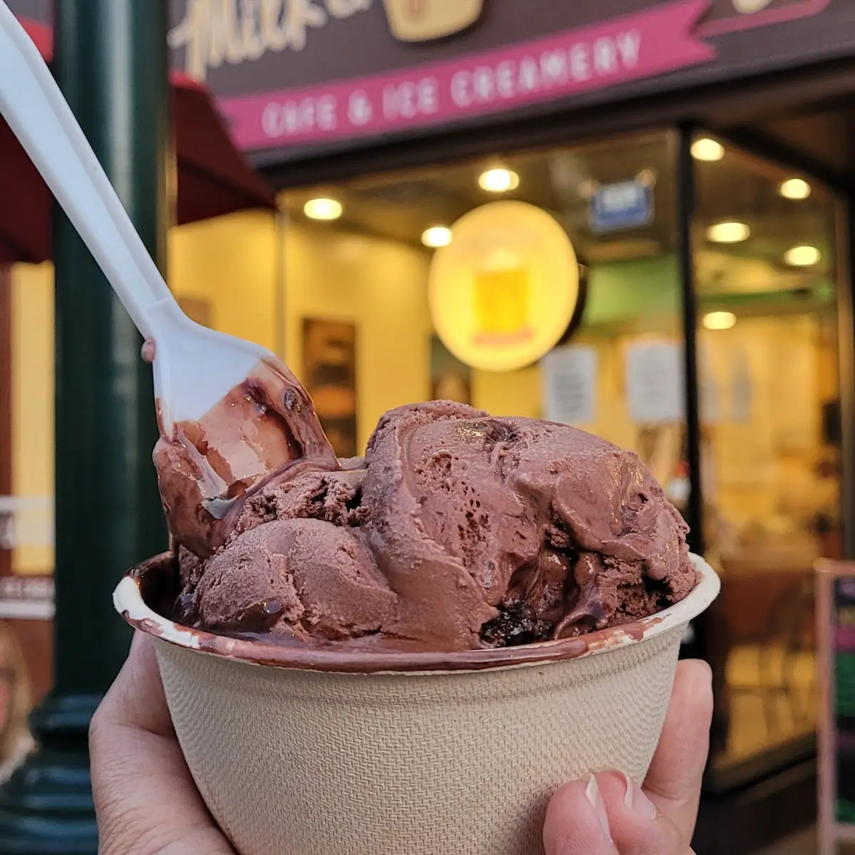 Belgian Chocolate Gelato