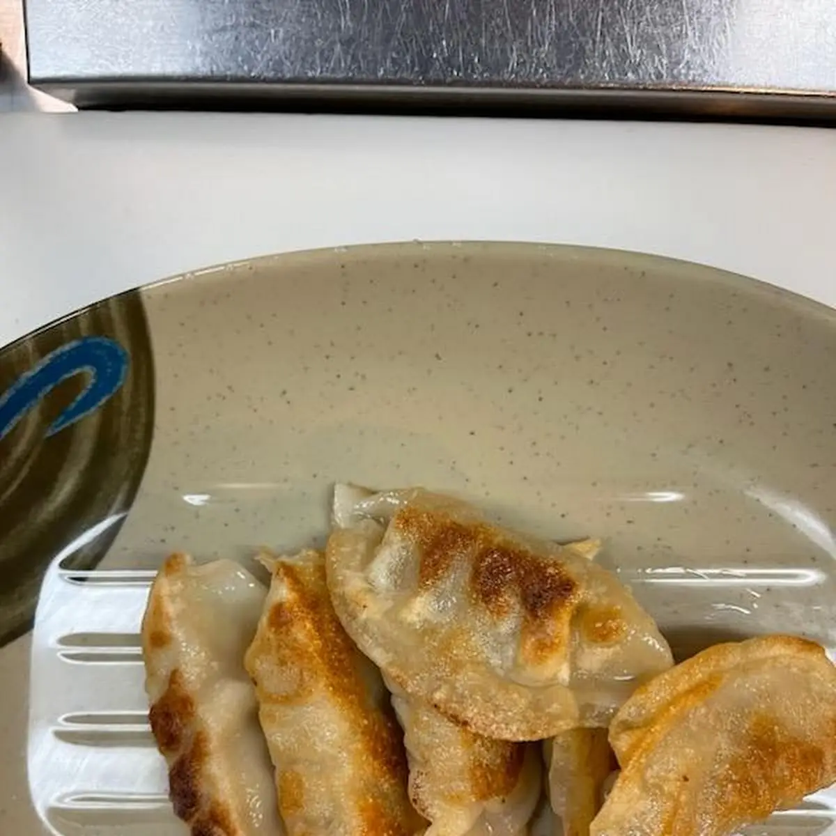 Pan Fried Dumpling