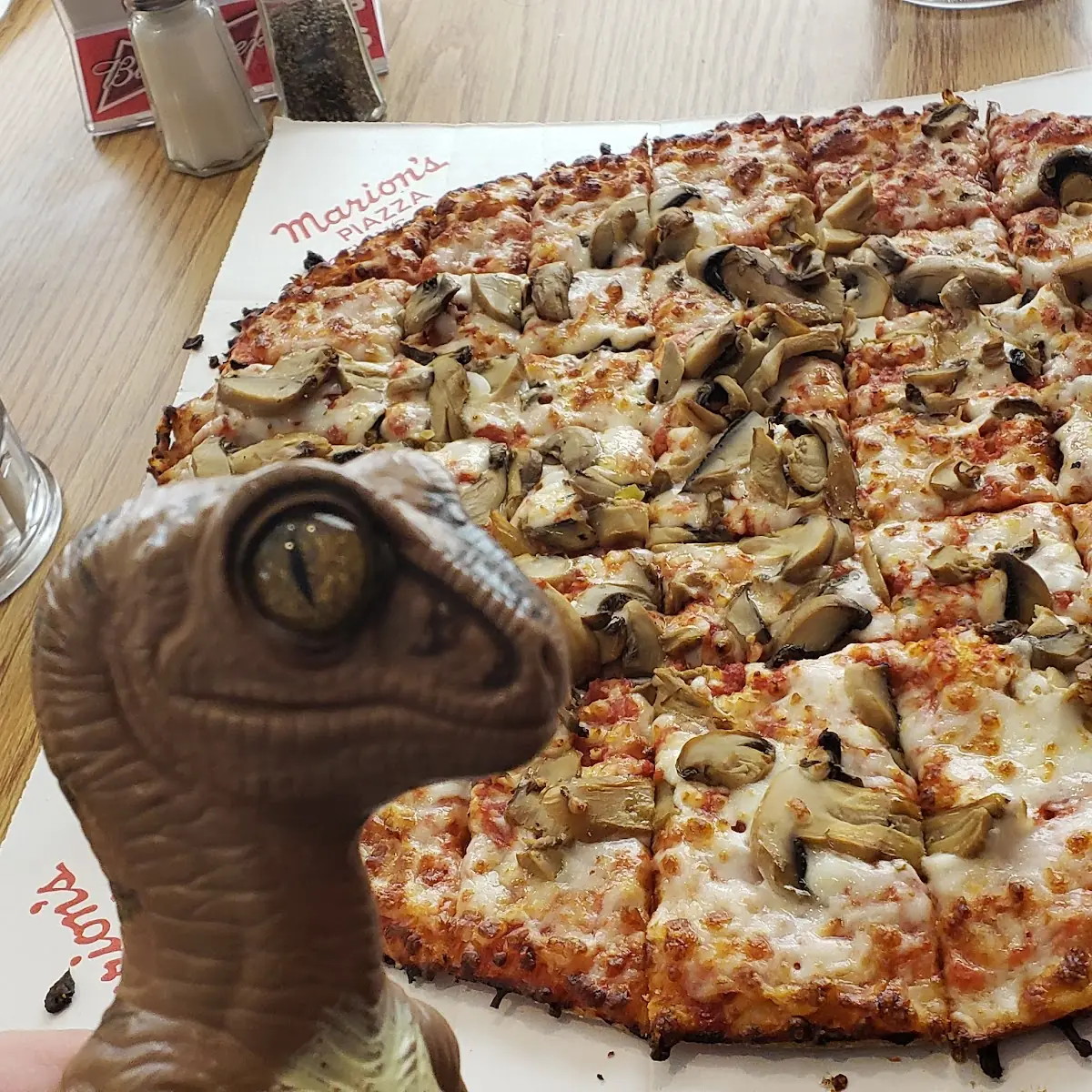 Mushroom Pizza