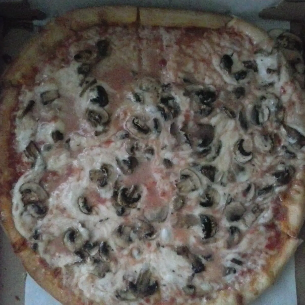 Mushroom Pizza