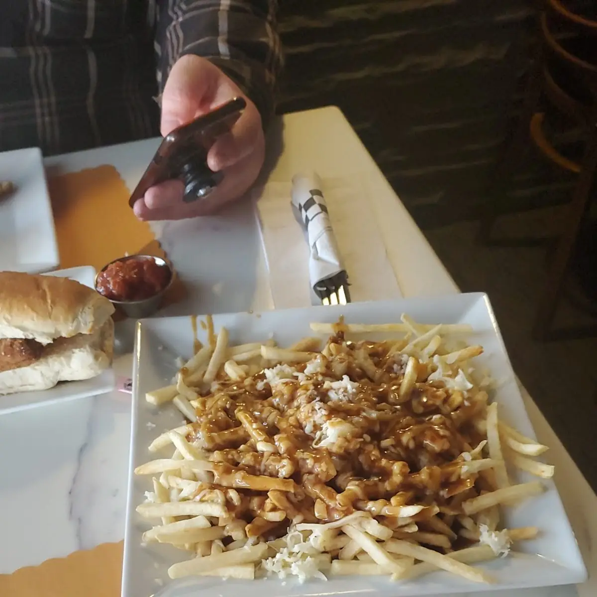 Various Types of Fries with Cheese Loaded