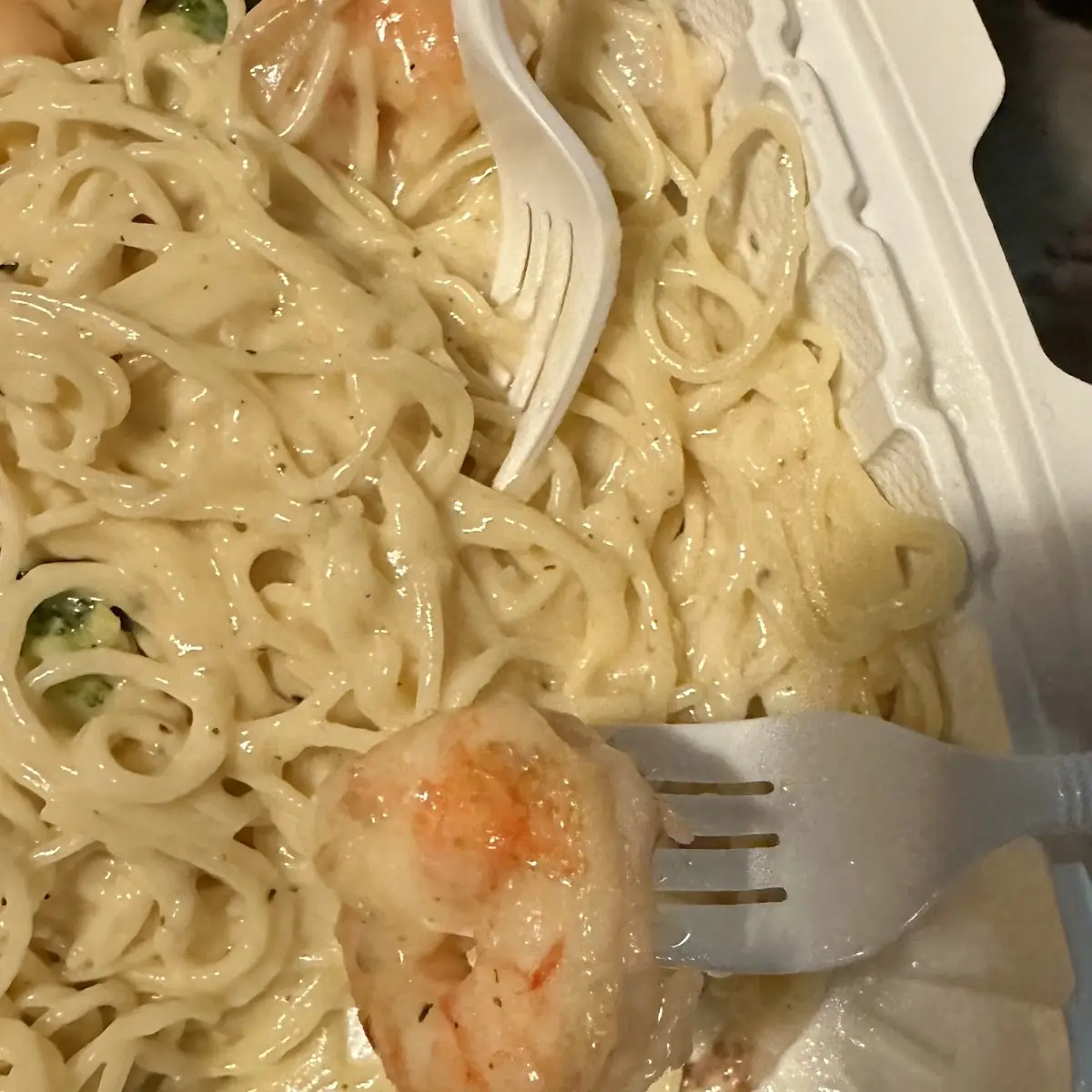 Shrimp Alfredo