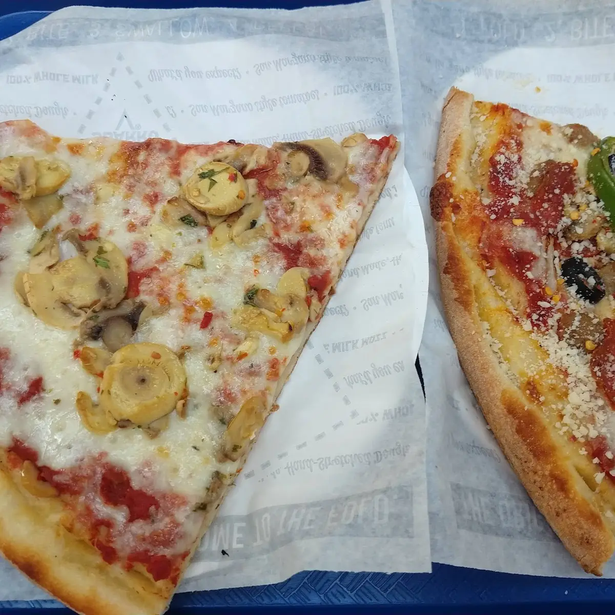 Mushroom Pizza