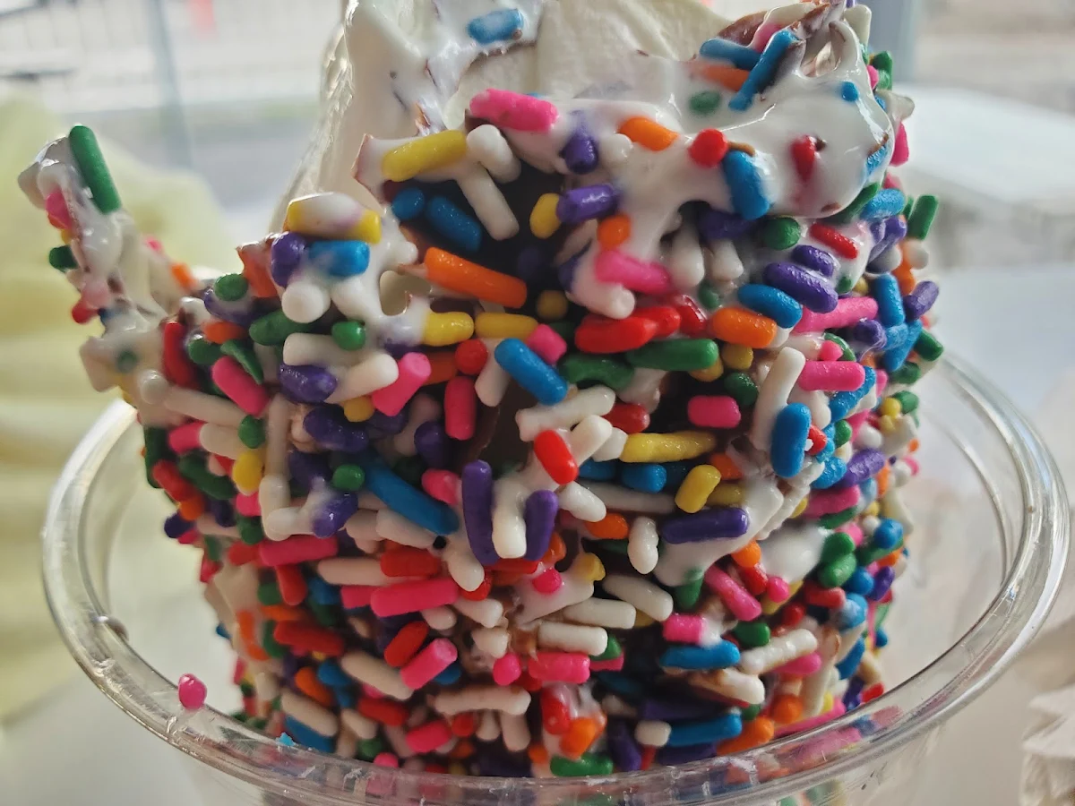 Vanilla Ice Cream Chocolate Dip and Sprinkles