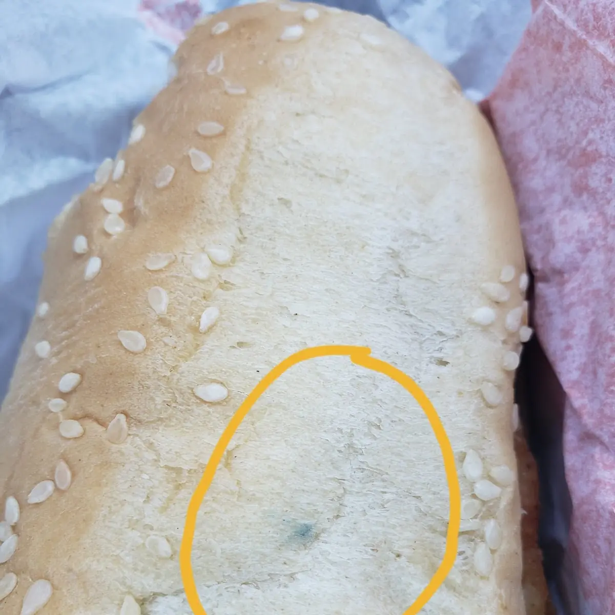 Chicken Fillet