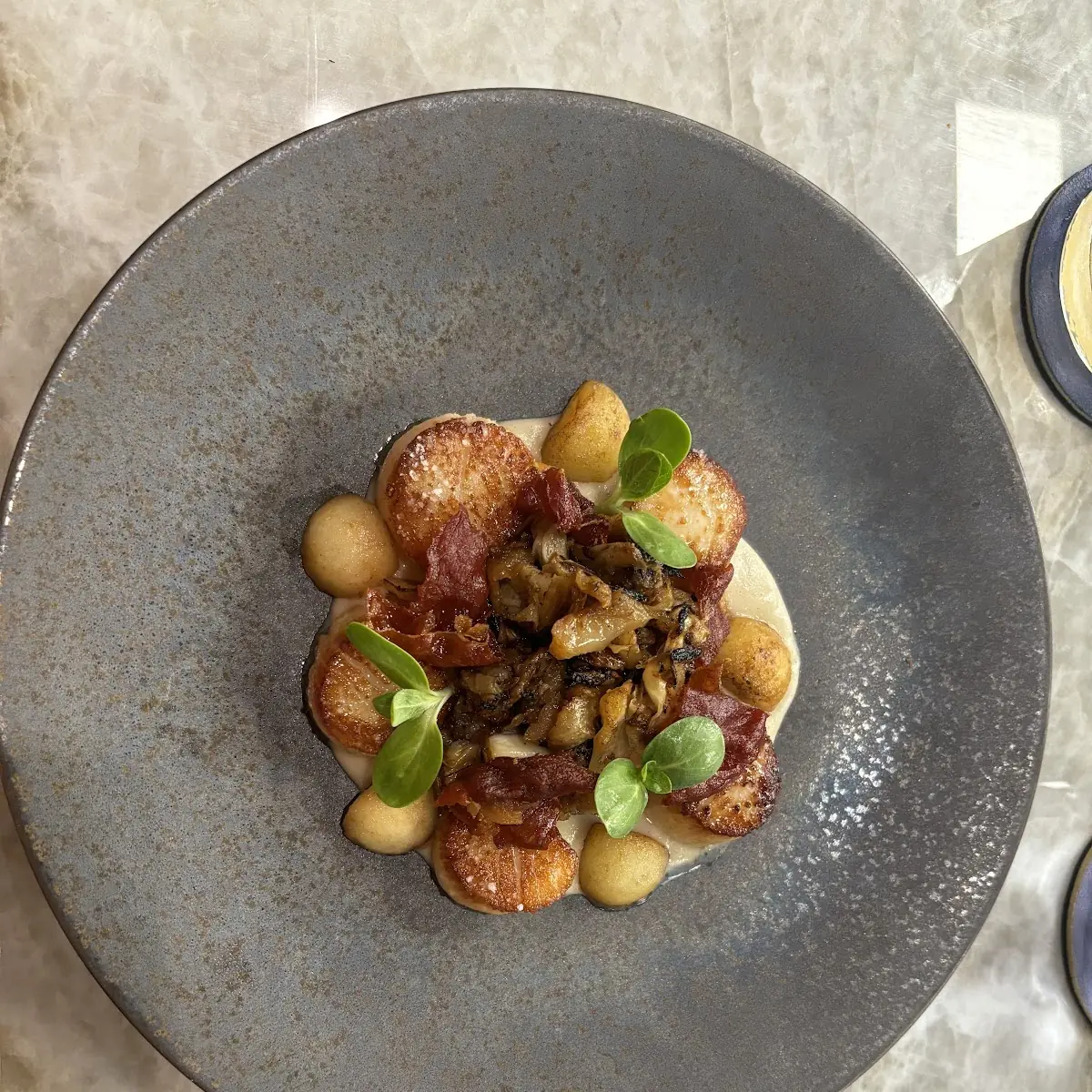 Maine Sea Scallops