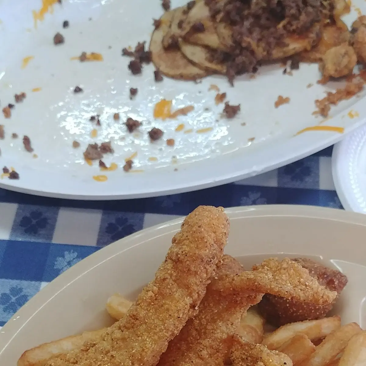 Cat Fish Fry