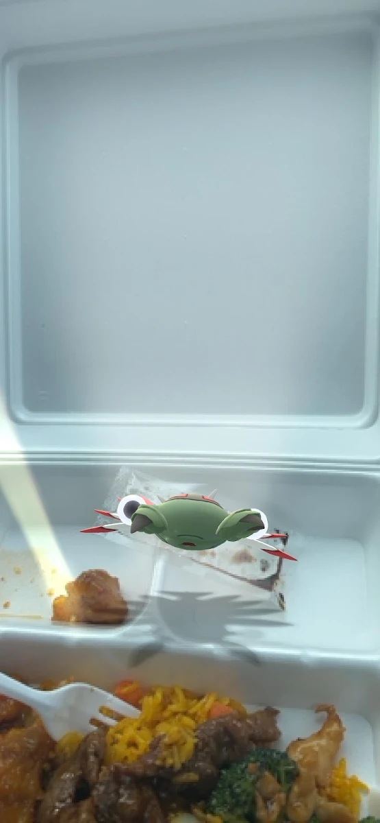 Broccoli Beef