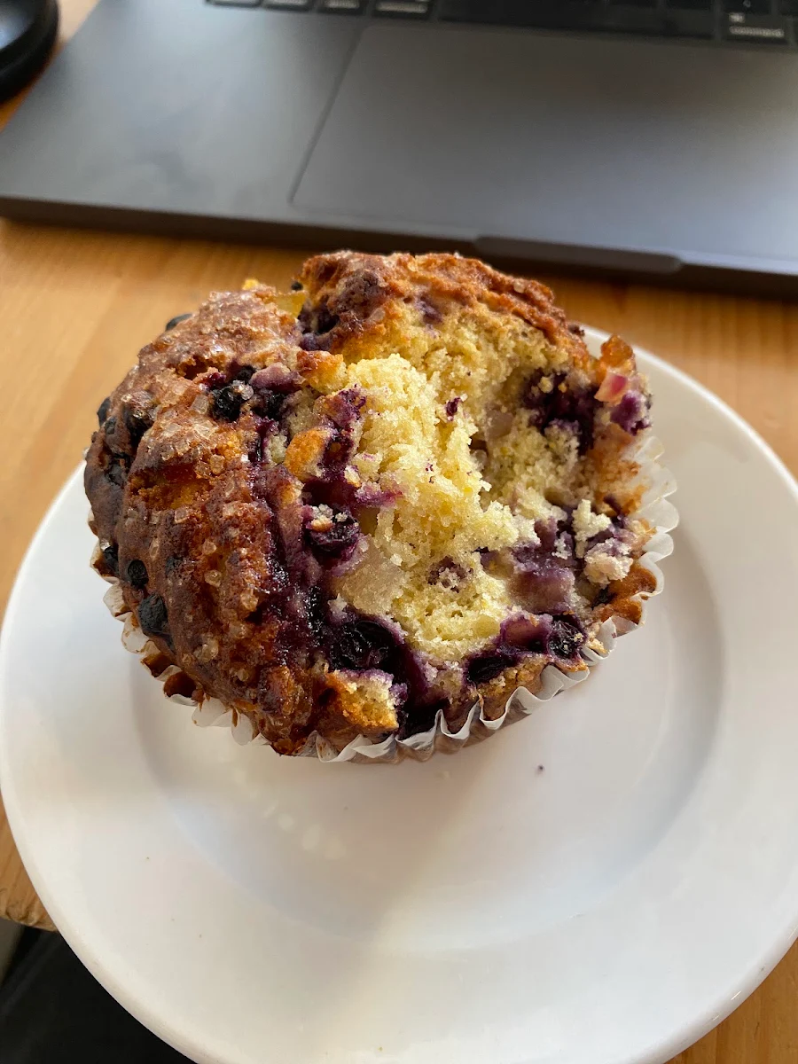 Blueberry Muffin
