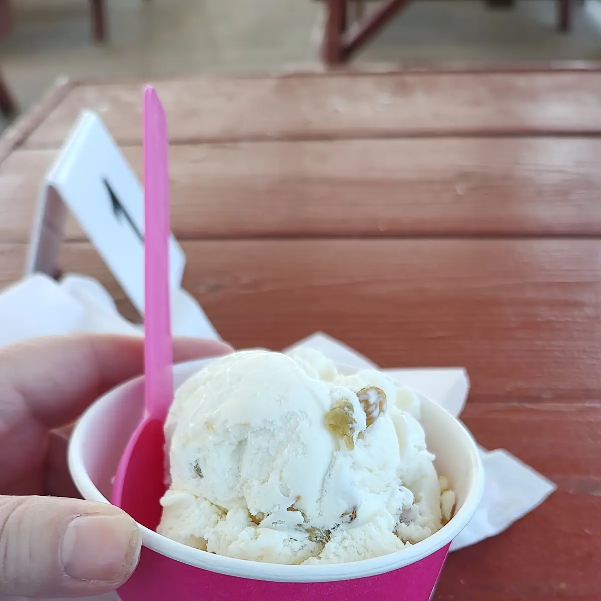 Rum Raisin Ice Cream