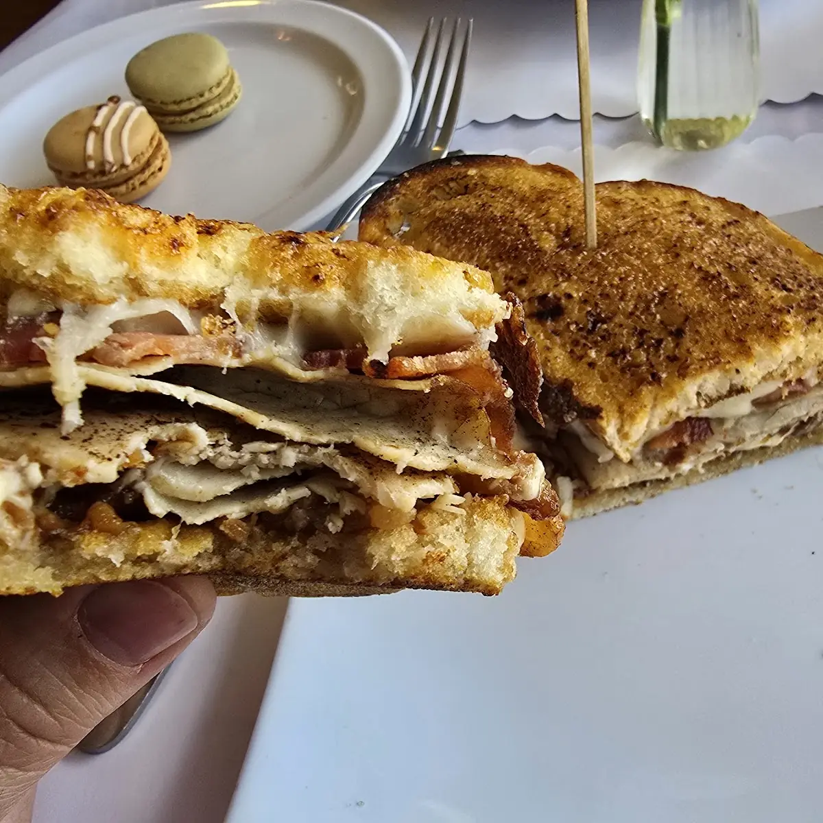 Turkey Bacon Brie Panini