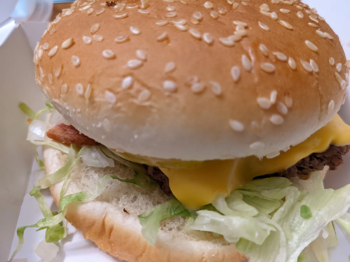 Hamburger Junior Junior Hamburger