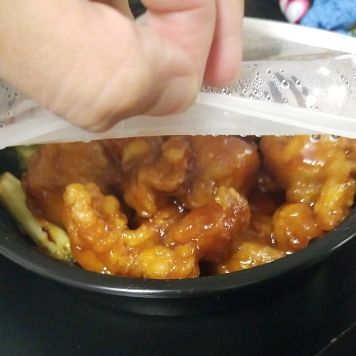 Chicken Teriyaki 5