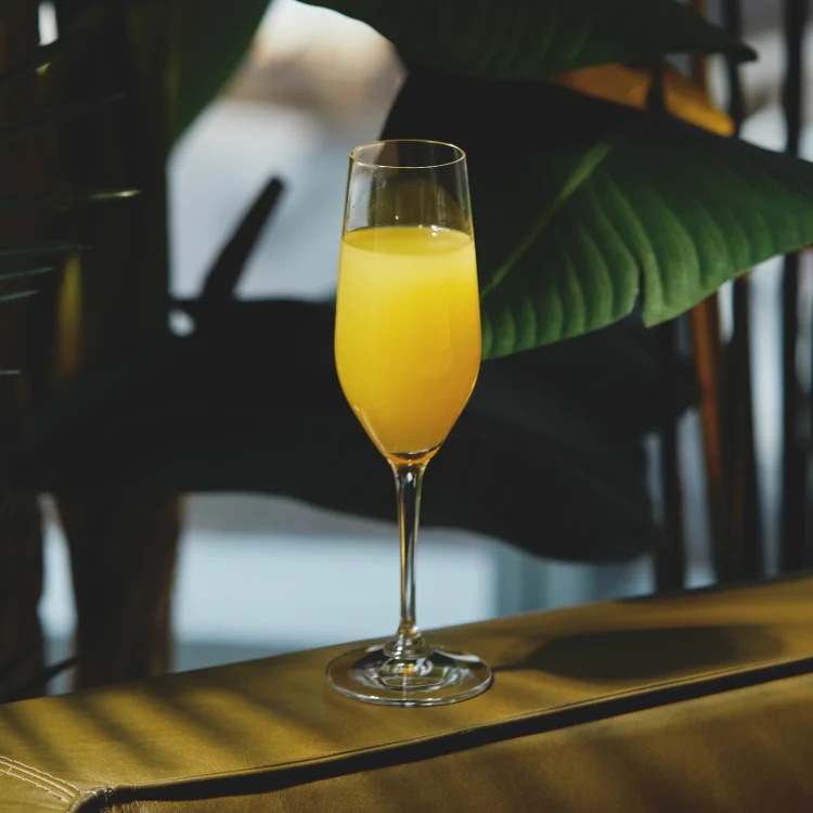Mimosa