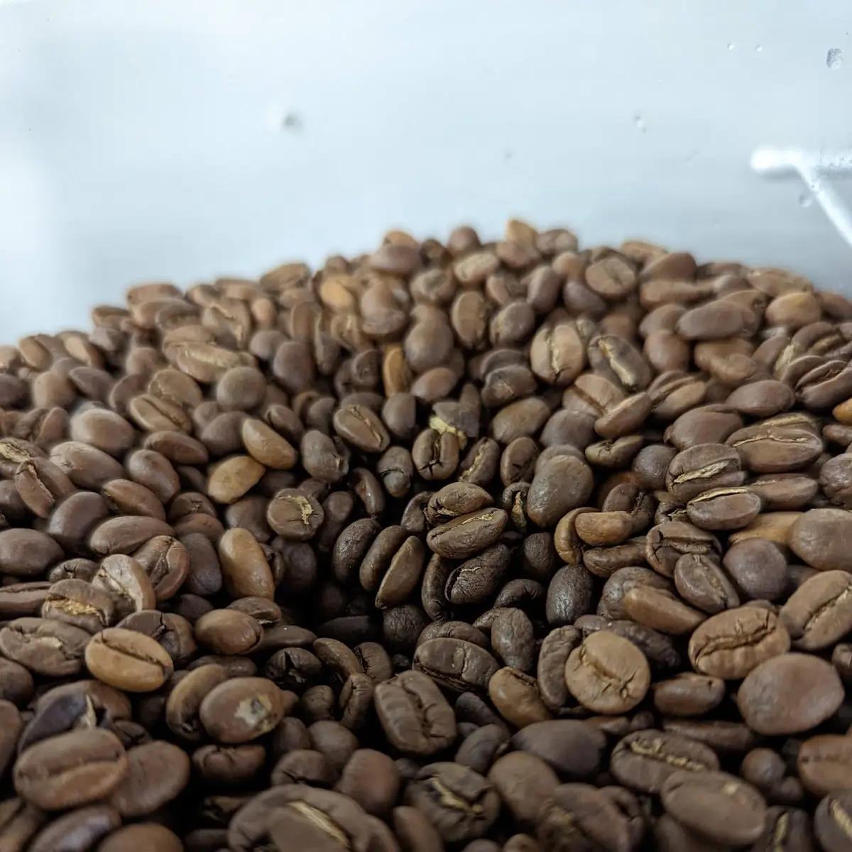 Medium Roast Coffee