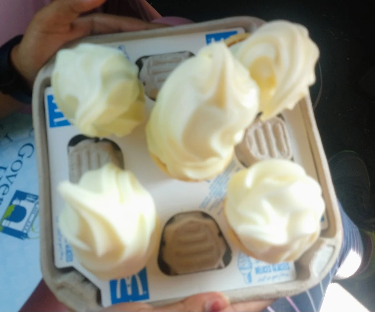 Vanilla Ice Cream Cone