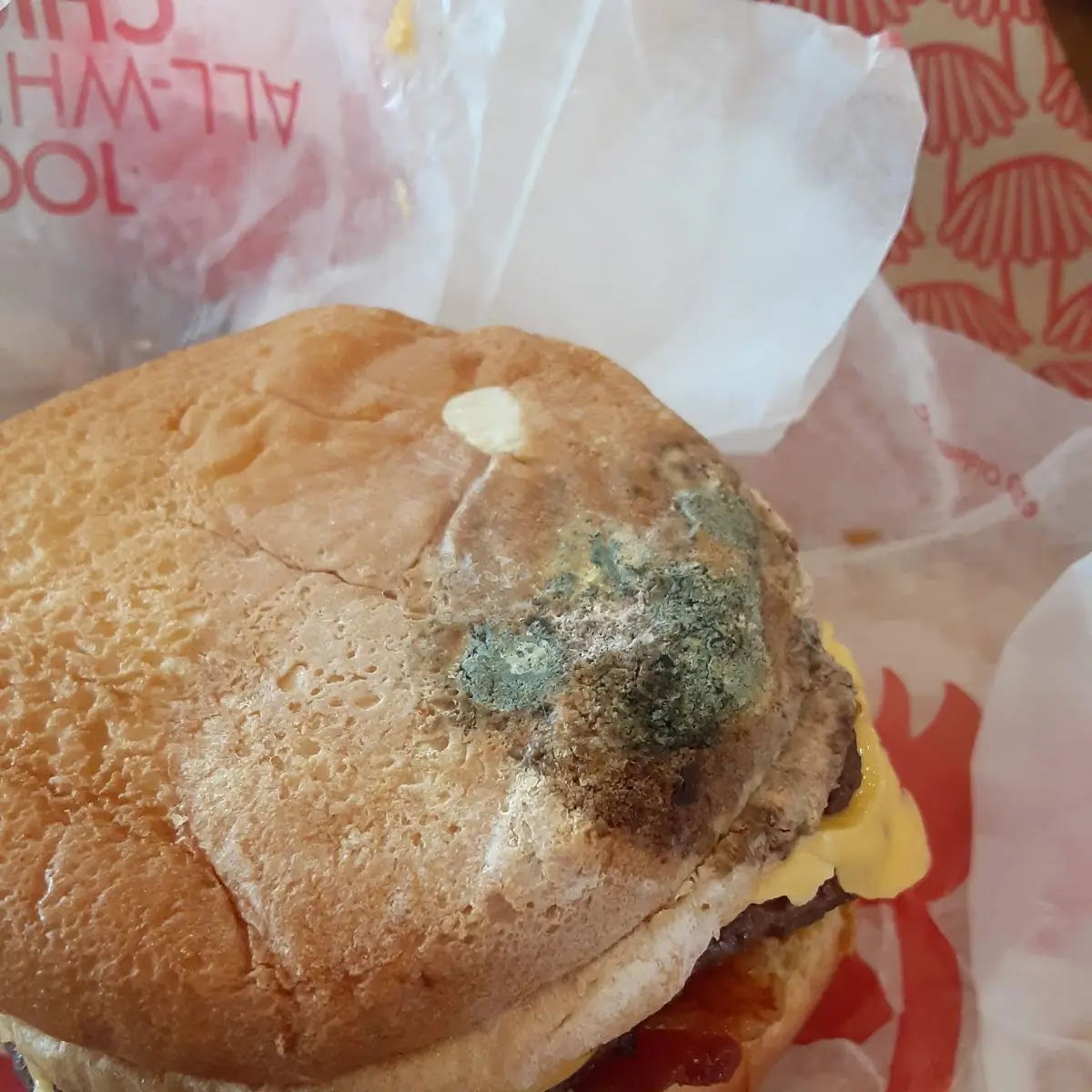 Double Cheeseburger