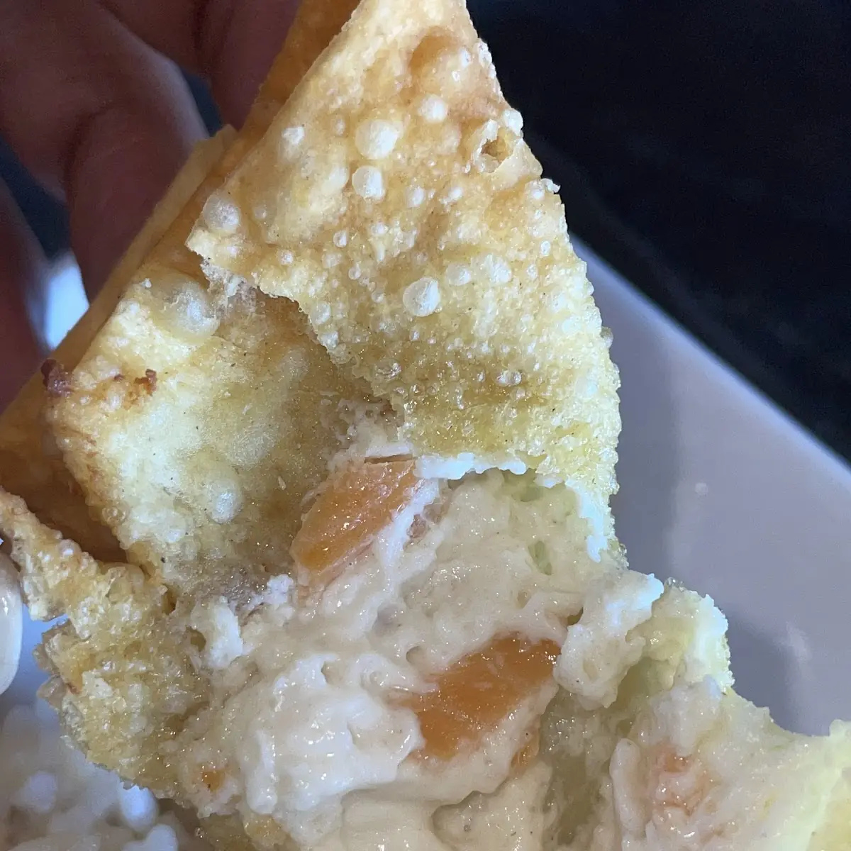 Smoked Salmon Rangoon