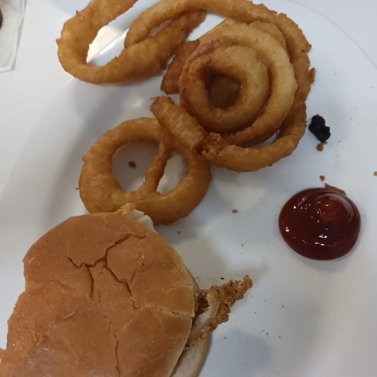 Catfish Sandwich and Onion Rings