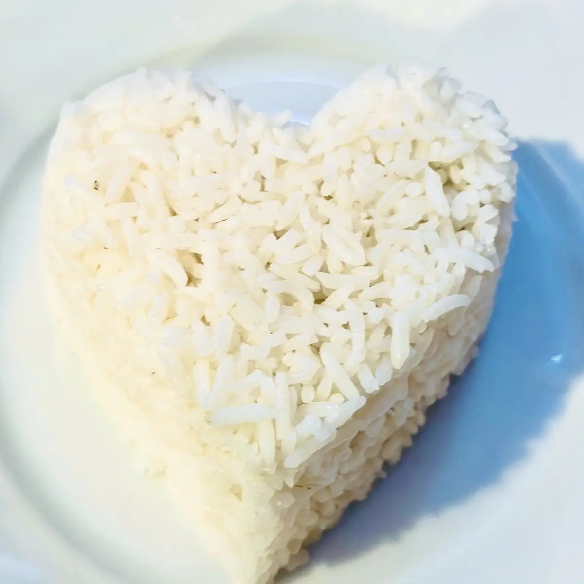 Steamed Jasmine Rice