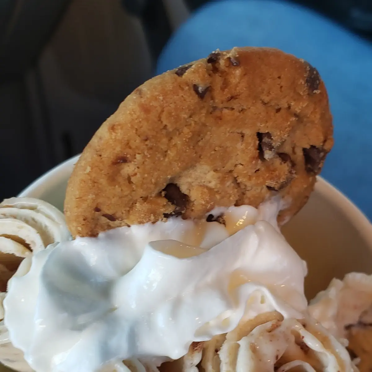 Chocolate Chip Rolled Ice Cream