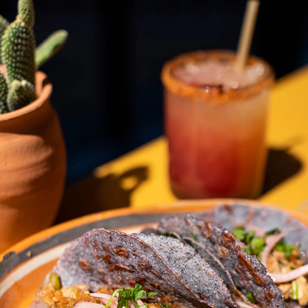 Birria Tacos