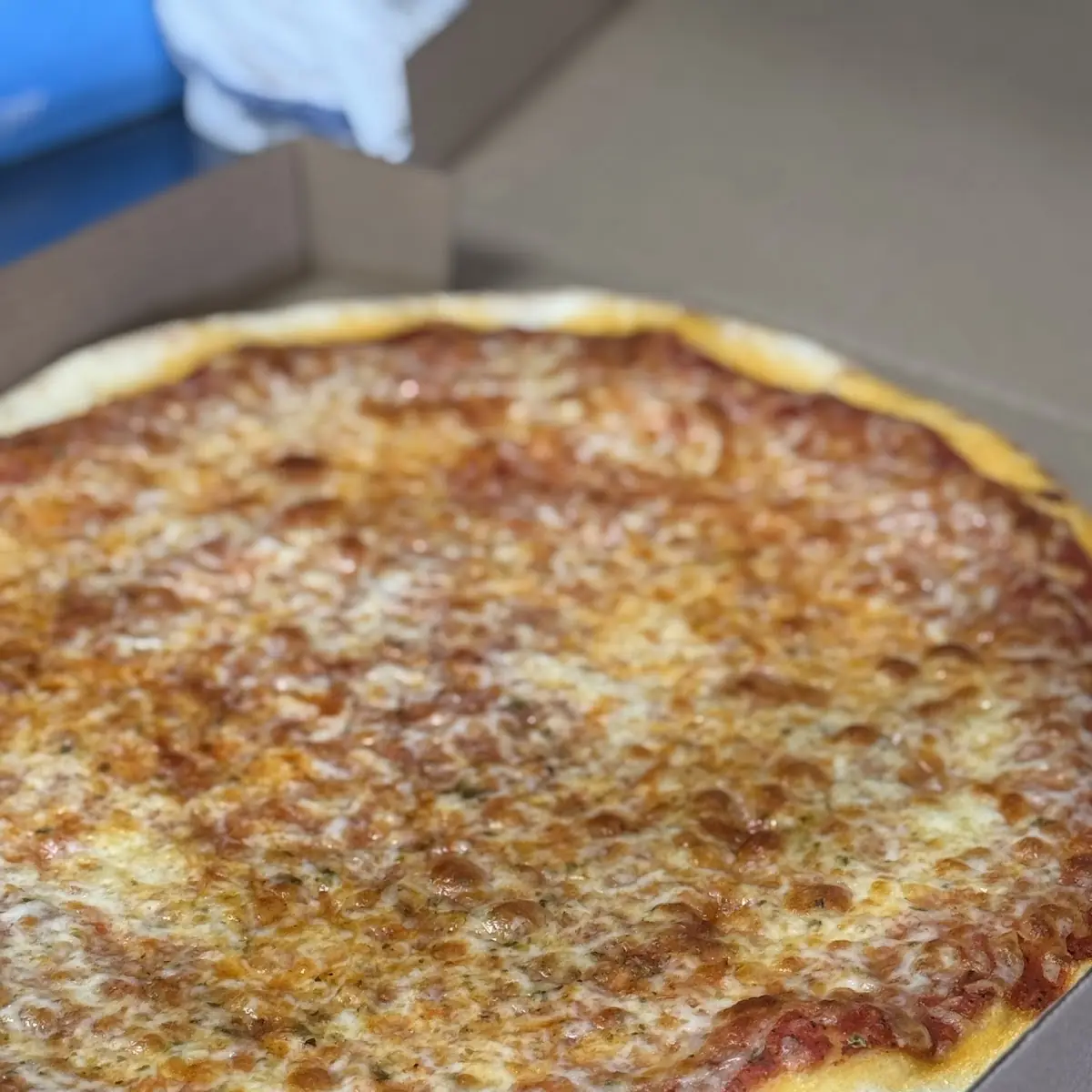 Bacon and Cheese Pizza