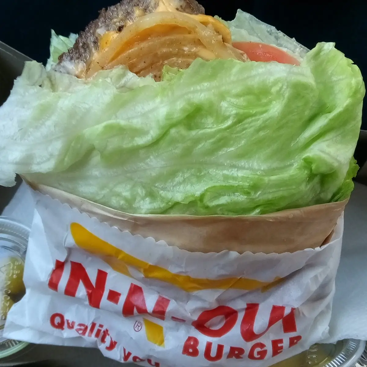 Protein Burger