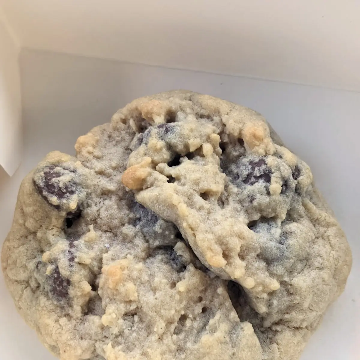 Chocolate Chip Cookie
