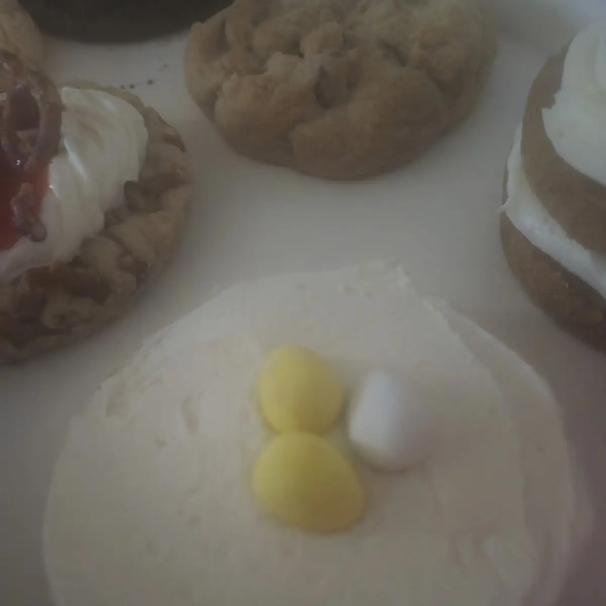 Sugar Cookie