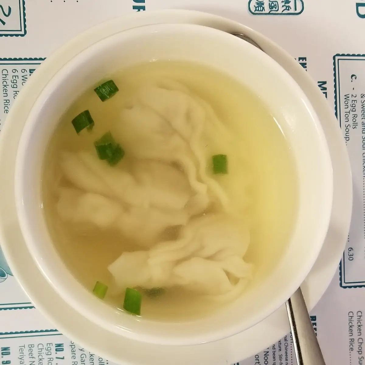 Wonton Soup